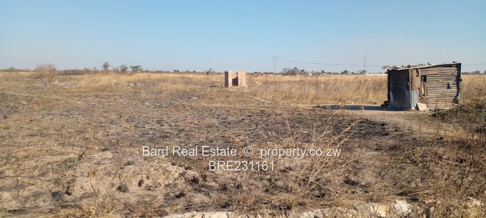 1000 sqm Huntersville/Southlands Stand 