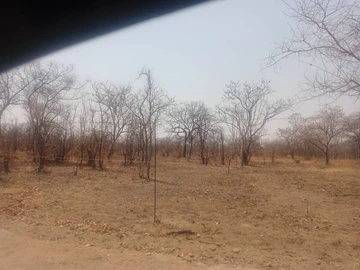 Farm & Agricultural Land