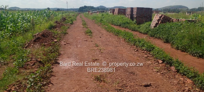 Medium Density Stands For Sale