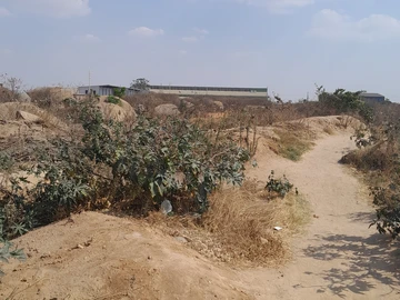 Commercial & Industrial Land