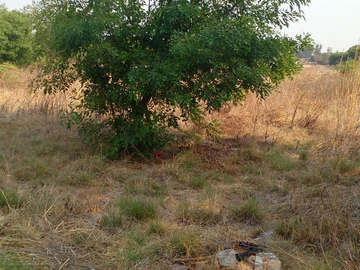 Commercial & Industrial Land