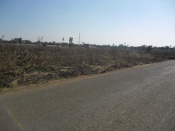 Commercial & Industrial Land