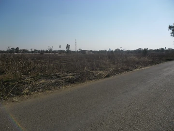 Commercial & Industrial Land