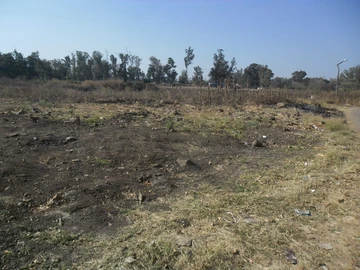 Commercial & Industrial Land