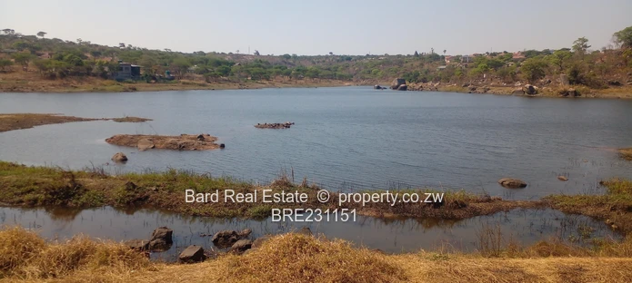 Residential stand overlooking a dam (Sole Mandate)
