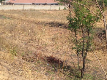 Stands & Residential Land