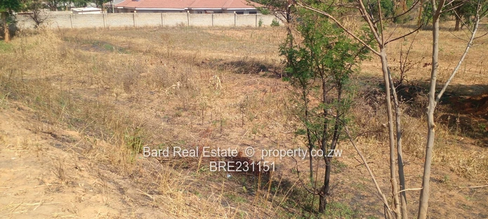 Residential stand overlooking a dam (Sole Mandate)