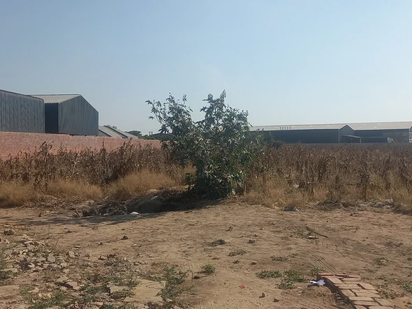 Commercial & Industrial Land
