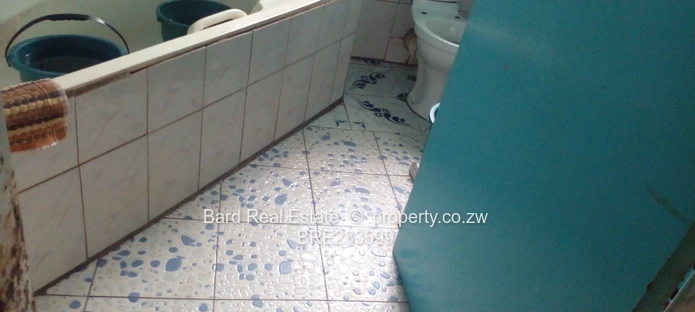 Bloomingdale 3-bed House with Garage & Water Tank