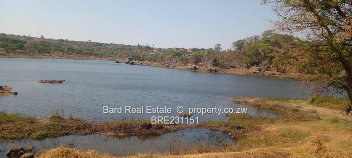 Residential stand overlooking a dam (Sole Mandate)