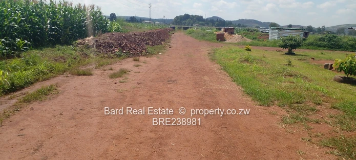 Medium Density Stands For Sale