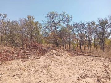 Farm & Agricultural Land