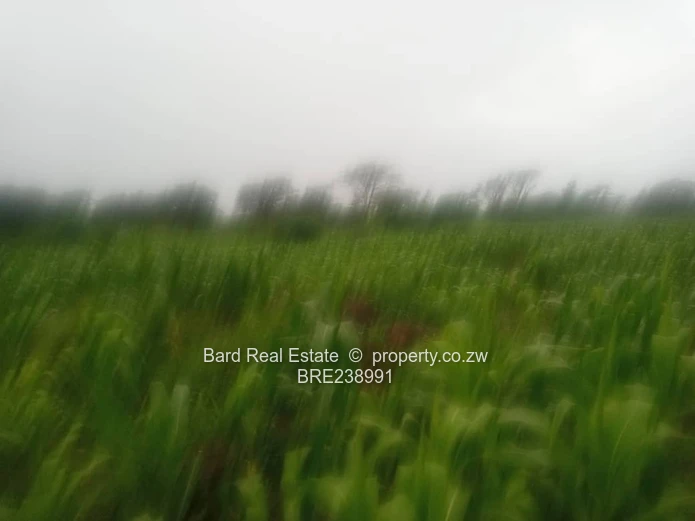 26ha Borrowdale — Subdivide-Ready, Main Road Frontage