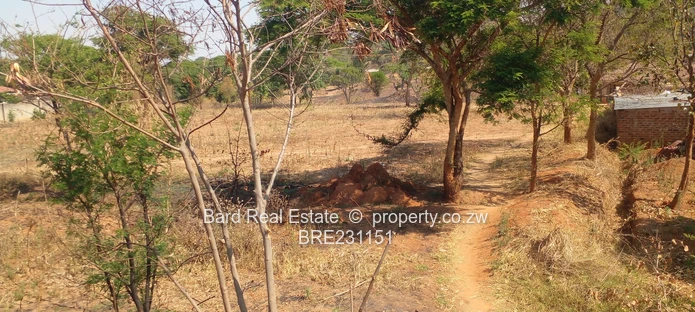 Residential stand overlooking a dam (Sole Mandate)