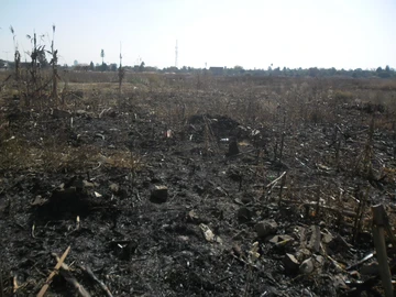 Commercial & Industrial Land