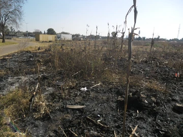 Commercial & Industrial Land