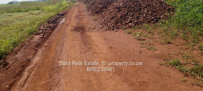 Medium Density Stands For Sale