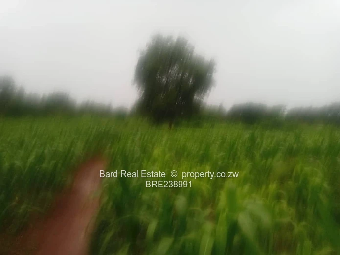 26ha Borrowdale — Subdivide-Ready, Main Road Frontage