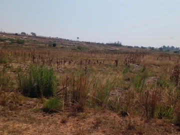 Farm & Agricultural Land