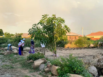 Stands & Residential Land