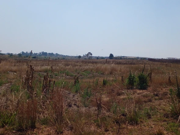 Farm & Agricultural Land