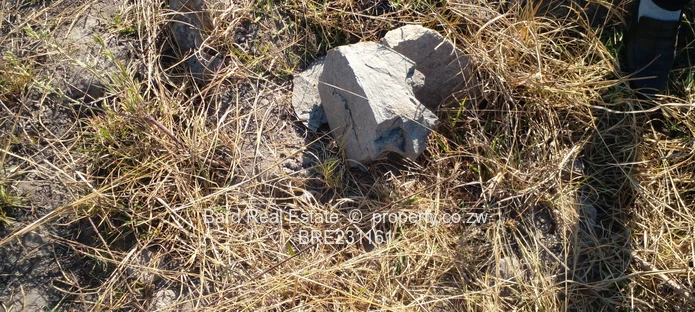 1000 sqm Huntersville/Southlands Stand 