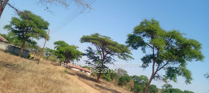 Residential stand overlooking a dam (Sole Mandate)