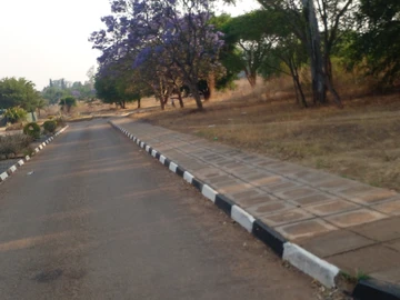 Commercial & Industrial Land