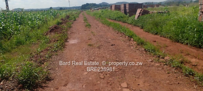 Medium Density Stands For Sale