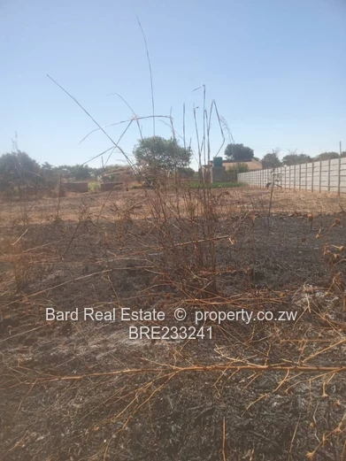 Ready to build low density stand, Knowe, Norton