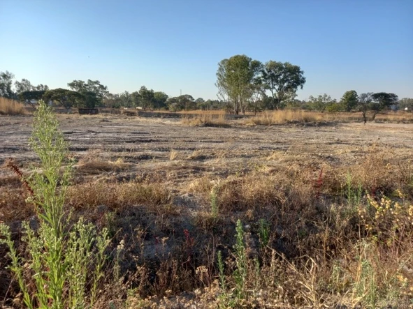 Commercial & Industrial Land