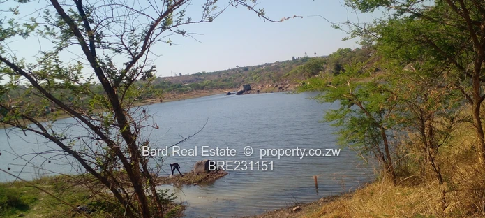 Residential stand overlooking a dam (Sole Mandate)