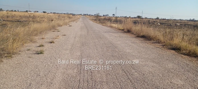 1000 sqm Huntersville/Southlands Stand 