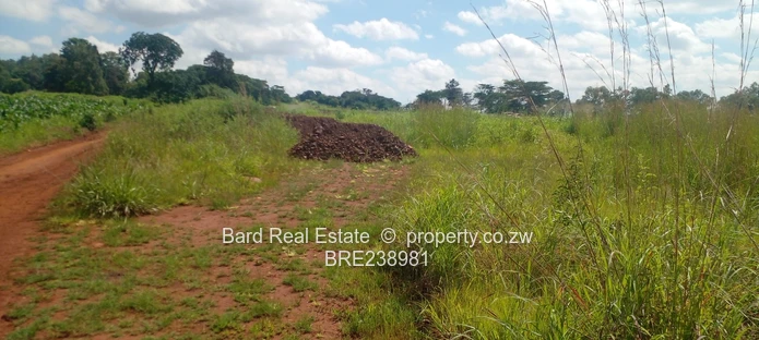 Medium Density Stands For Sale