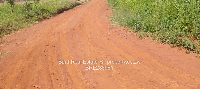 Medium Density Stands For Sale