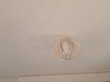 6 Unit Townhouse Complex