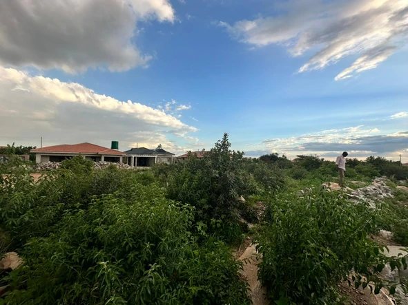 Stands & Residential Land