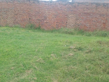 Commercial & Industrial Land