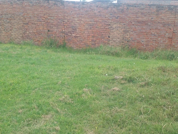 Commercial & Industrial Land