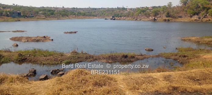 Residential stand overlooking a dam (Sole Mandate)