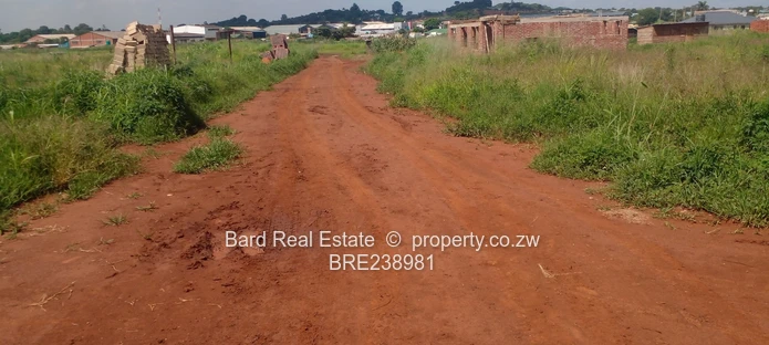 Medium Density Stands For Sale