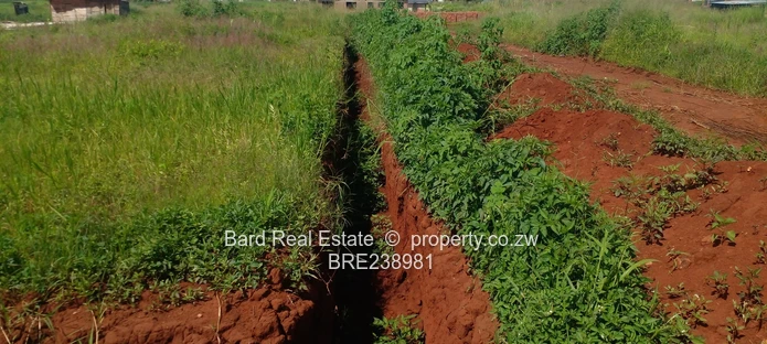 Medium Density Stands For Sale