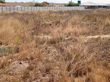 Farm & Agricultural Land