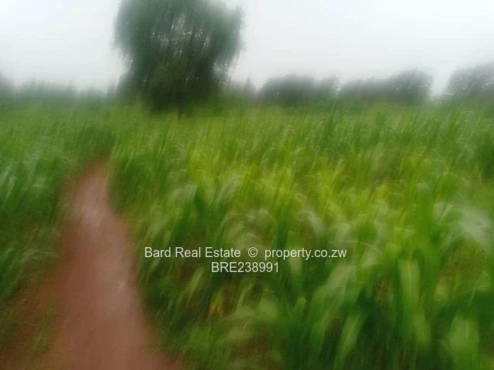 26ha Borrowdale — Subdivide-Ready, Main Road Frontage