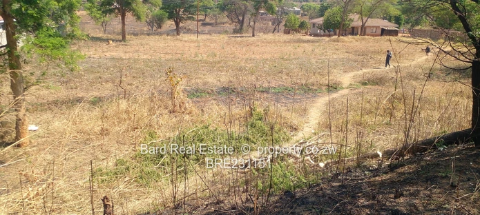 Residential stand overlooking a dam (Sole Mandate)