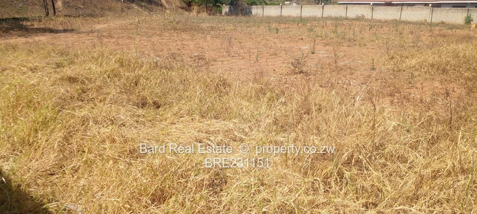 Residential stand overlooking a dam (Sole Mandate)