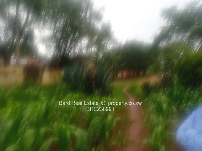 26ha Borrowdale — Subdivide-Ready, Main Road Frontage