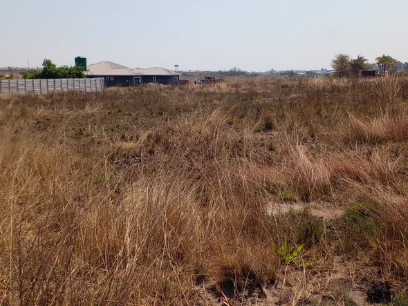 Farm & Agricultural Land