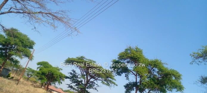 Residential stand overlooking a dam (Sole Mandate)