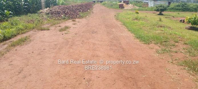 Medium Density Stands For Sale